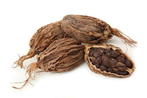 Large Cardamom and Carpet to Get Collective Trademark Registration 