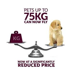 Qatar Airways Reduces Prices For Transporting Pets