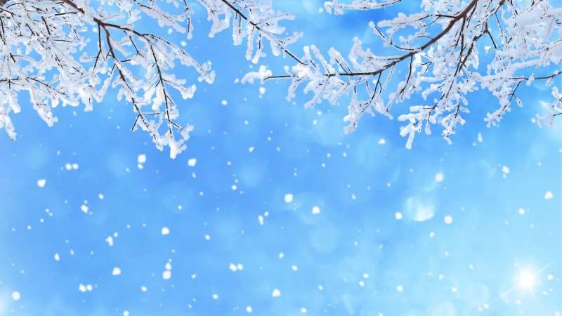 Snowfall affects life in Humla