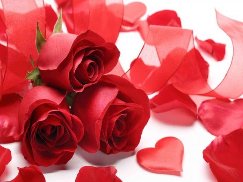 Roses Worth Rs 15 Million Being Imported for Valentine’s Day