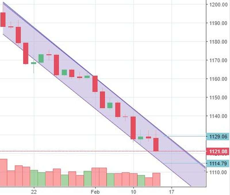 Market Watch of February 13
