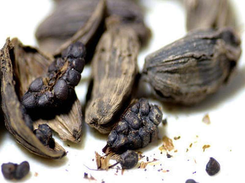 BFIs Increasingly Lending to Black Cardamom Farmers