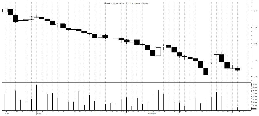 Market watch 24th September(Tuesday)