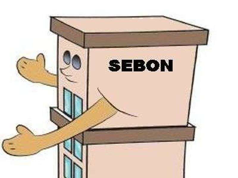 Sebon Preparing to Amend Half a Dozen Regulations