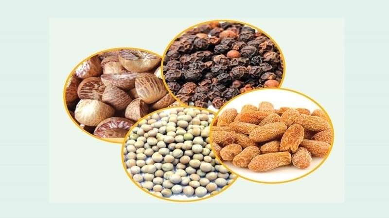 Foreign Exporters Demand Release of Goods Held at Customs Points