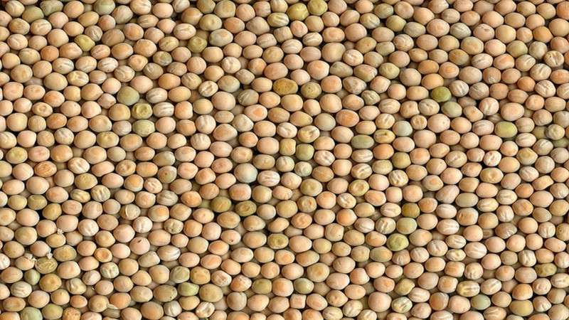 Restriction in Import of Dried Peas Leads to Shortage in the Market 