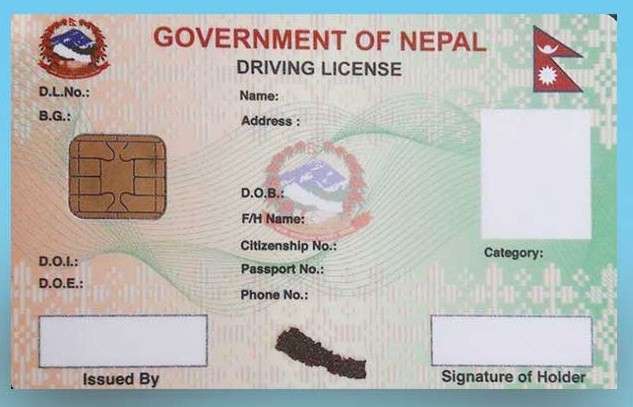 Online Application for Driving License Finally Resumes after 6 Months