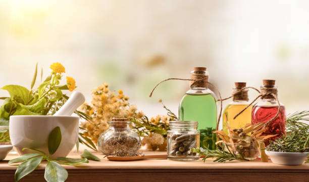 Herbs Production and Processing Company Starts Making Profit after 40 Years