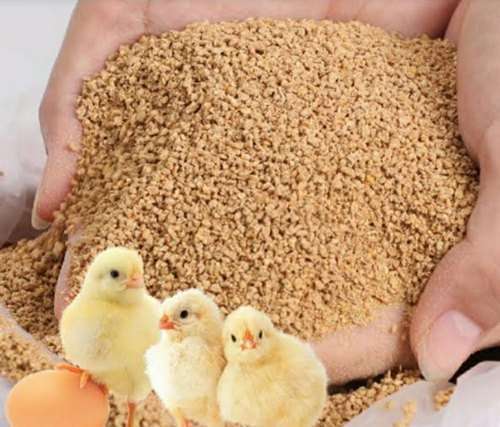 Rise in Prices of Raw Materials Increases Price of Poultry Feed    