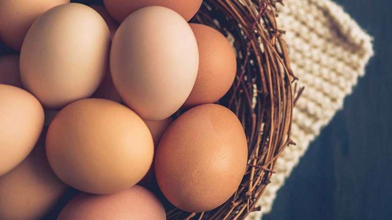 Price of Eggs Goes Up