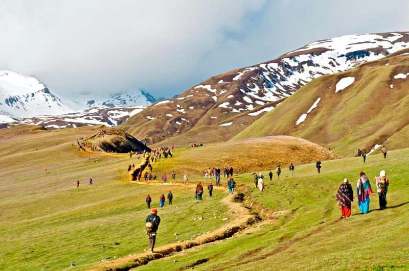 Yarsagumba Collection to Start in Dolpa from May 25   