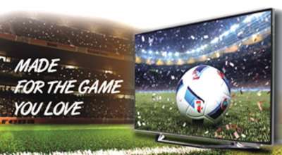 CG Euro Cup Scheme