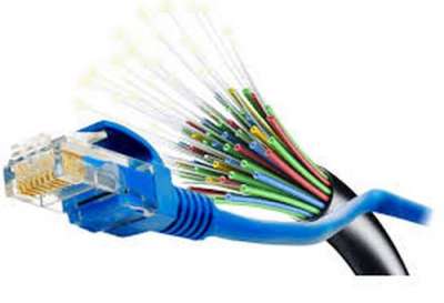 Internet Access Reaches Half of the Population