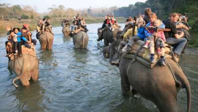 Hotel Occupancy Rises 