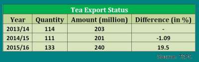 Tea Export Rises by 20 Percent