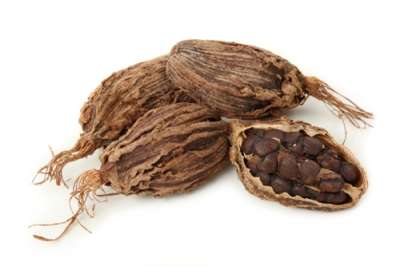 Large Cardamom and Carpet to Get Collective Trademark Registration 