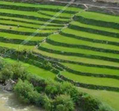 Nepal Yet to Meet the Demand of Paddy Production