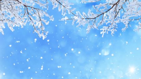 Snowfall affects life in Humla