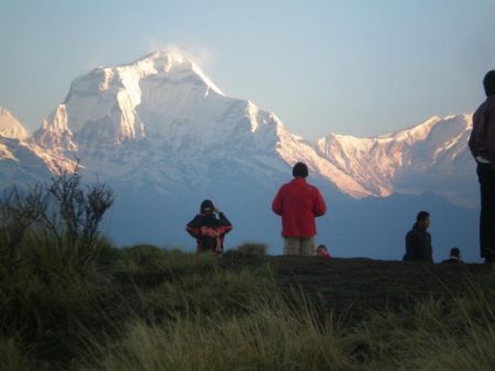 25 Percent Increase in Arrival of Tourists