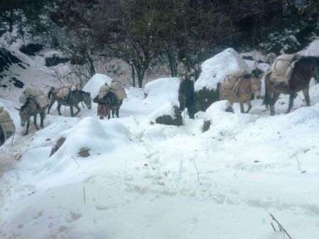 Excessive Snowfall Throws Life out of Gear in Dolpa