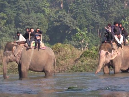 Number of Tourists Visiting CNP on the Rise