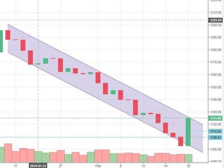 Market Watch of february 19