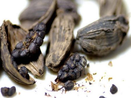 BFIs Increasingly Lending to Black Cardamom Farmers