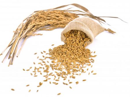 Government Policy Blamed for Sorry State of Rice Industries