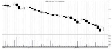 Market watch 17th September(Tuesday)