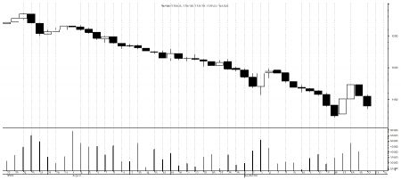 Market watch 22nd September(Sunday)