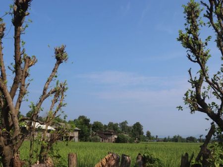 Government Seeks Proposal from Zurich Airport Int’l AG to Construct Nijgadh Int’l Airport