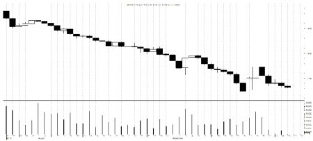 Market watch 25th September(Wednesday)