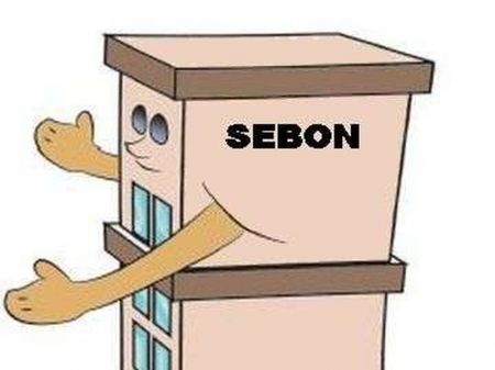 Sebon Preparing to Amend Half a Dozen Regulations