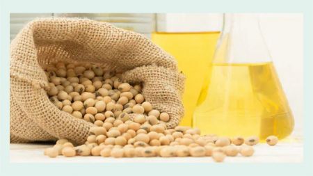 Nepali Exporters Shift the Focus to Soybean Oil 