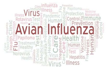 Government Lacks Adequate Laboratories for Testing Bird Flu 