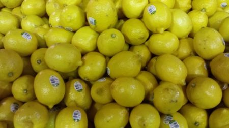 Youth Getting Attracted to Commercial Farming 