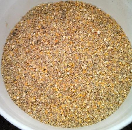 Price of Chicken Feed Likely to Increase
