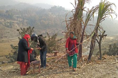 Thirty five Percent Farmers 'Abandon' Sugarcane Farming