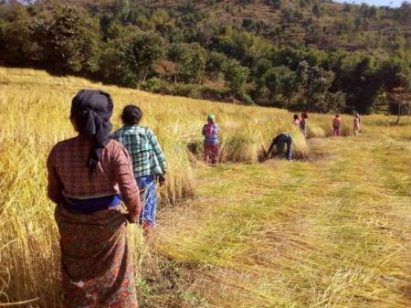 Government Launches Campaign for Digital Listing of Farmers  