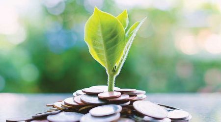 Startup Programme Included in Budget since 2015 Fails in Implementation 