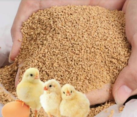 Poultry Feed Industry sees Investment of Rs 35 Billion