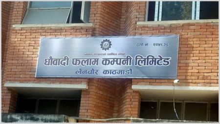 Dhaubadi Iron Company Shortlists Firms for Feasibility Study and DPR 