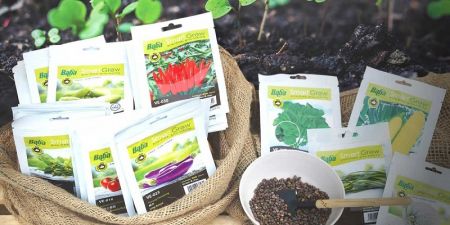 Vegetable Seeds worth Rs 430 Million Imported 