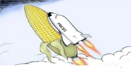 Food Prices Continue to Surge