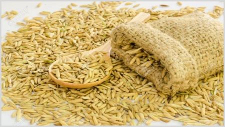 Farmers Unhappy with the Minimum Support Price of Rice fixed by the Government 