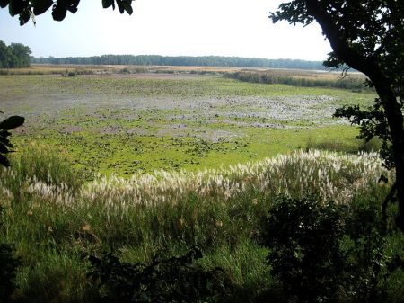 Shuklaphanta National Park Opened for Tourists   