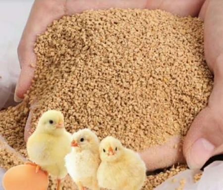 Rise in Prices of Raw Materials Increases Price of Poultry Feed    
