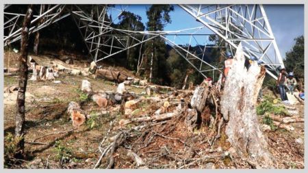 Koshi Corridor Project Depleting Forests in the Capital of Rhododendron