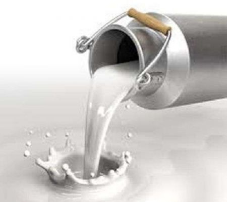 Farmers Demand Hike in Milk Price 