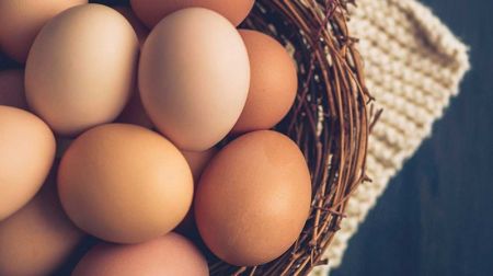 Price of Eggs Goes Up